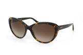 Dkny DY 4084 301613, Oval Sonnenbrillen, Dunkelbraun